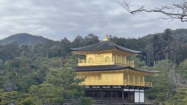 ランド ビュー / 30