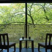 おやど 森の音（山形県 旅館） / 4