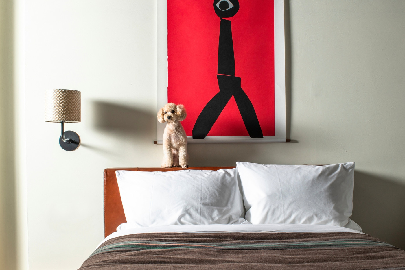 「スタンダードキング」と「デラックスツイン」がワンちゃんOKルーム3372616