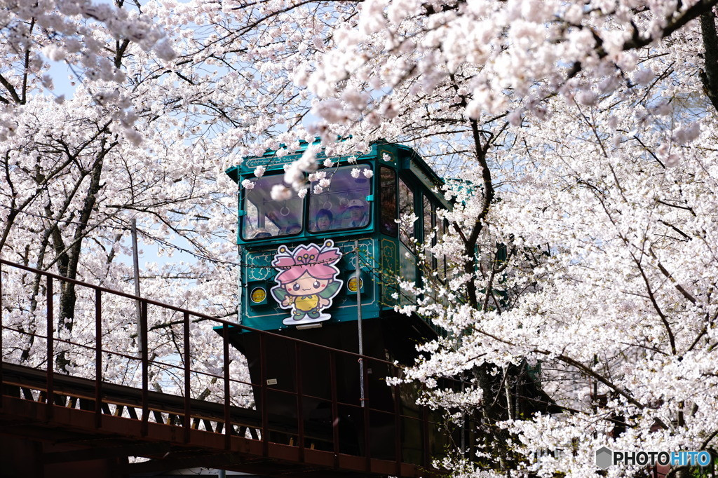展望台から春の絶景を一望できる「船岡城址公園」3689199