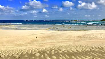 シティ ビュー / 15