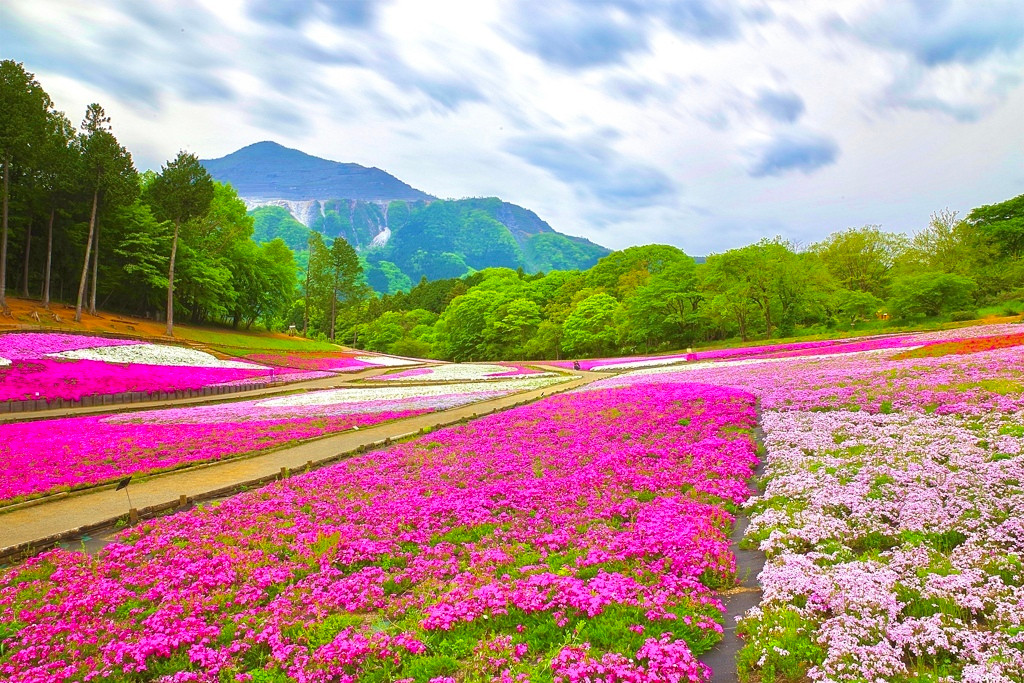 秩父はアクセス良好!おこもりステイに便利4089489