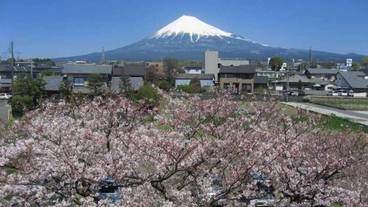 マウンテン ビュー / 15