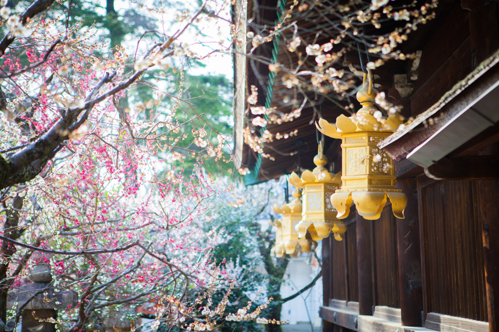 京都はオフシーズンの冬なら、マイペースに楽しめる2539425