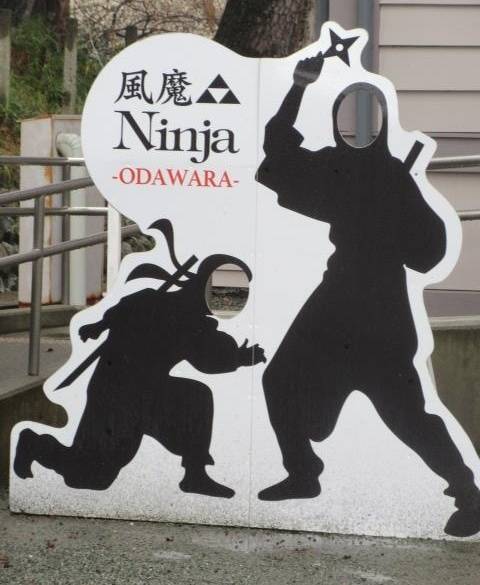 小田原城NINJA館 / 1