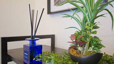 客室の設備とサービス / 31