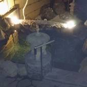 白浜やすらぎの宿泊り木（和歌山県 旅館） / 3