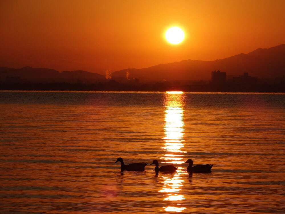 施設からの眺望