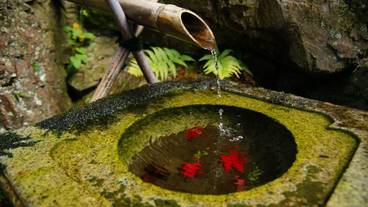 施設からの眺望 / 19