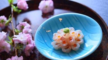 食事・飲み物 / 19