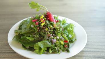 食事・飲み物 / 5