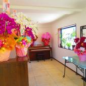 Ao 碧ホテル（沖縄県 ビジネスホテル） / 2