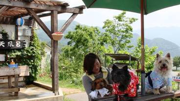 ペット同伴可 / 26