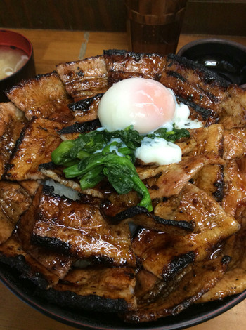 「豚大学」料理 699151 