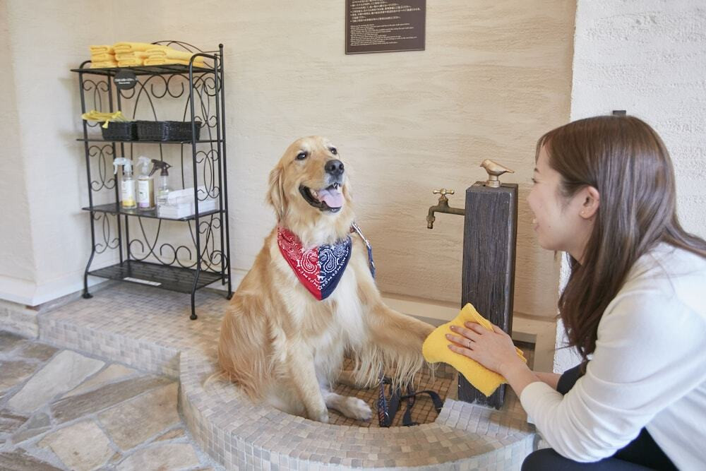 彼＆ワンコを連れて、憧れの軽井沢散歩3496254