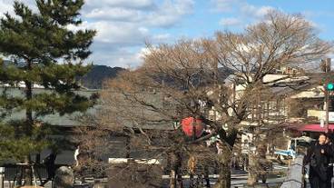 施設からの眺望 / 7