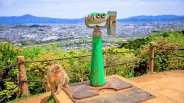 観光スポット / 16