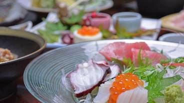 食事・飲み物 / 16