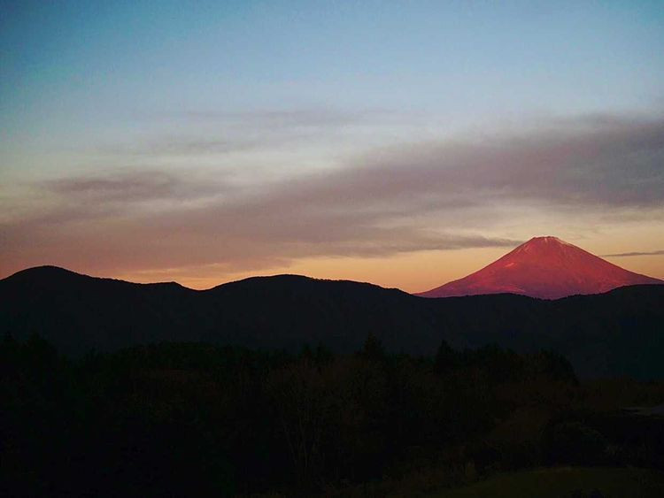 e_airiさんの写真 / 1