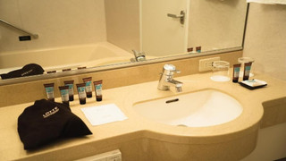 【アライ棟】スーペリアツイン／マウンテンビュー(ベッド2台)