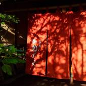 由布院温泉 湯布院旅館のぎく（大分県 旅館） / 3