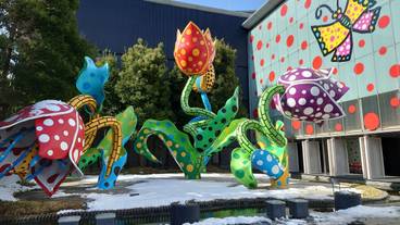 松本市美術館 / 5