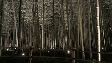 観光スポット / 30