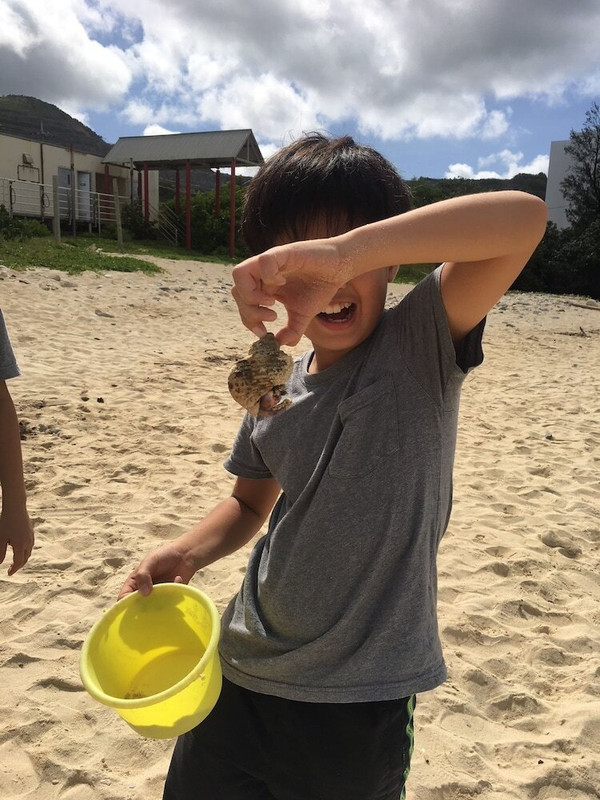 子供用の遊び場 - 屋外