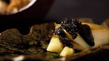 食事・飲み物 / 17