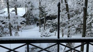 施設からの眺望 / 11