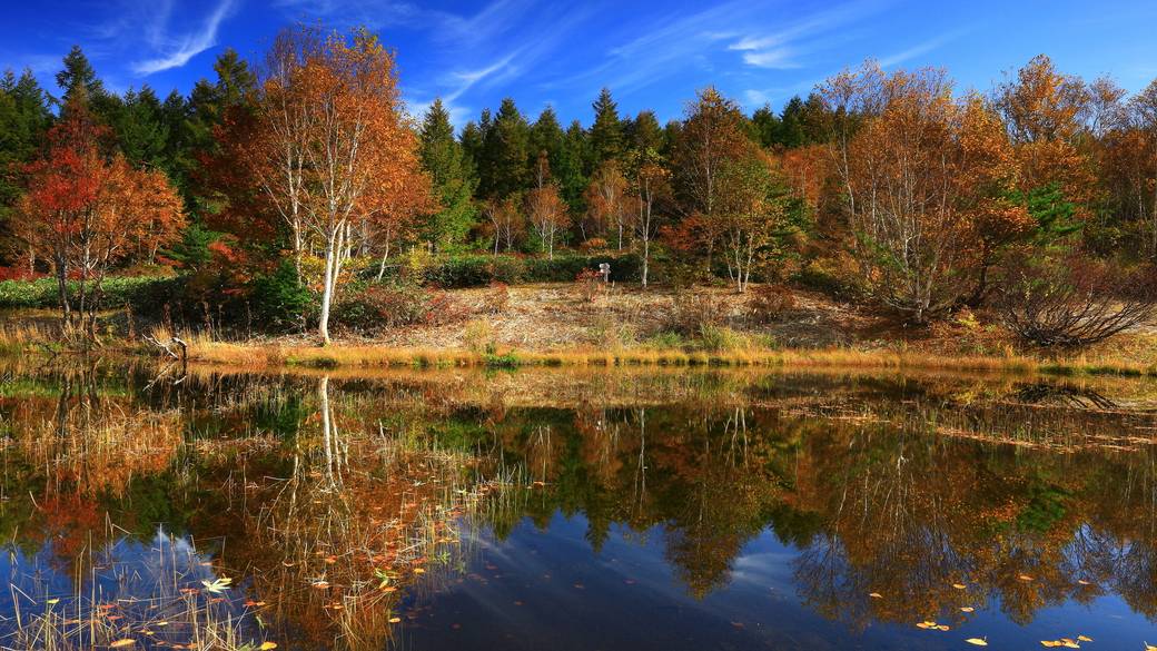 安比高原(あっぴこうげん) / 3