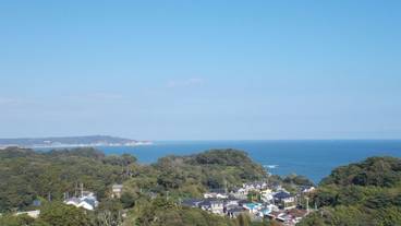 ビーチ / オーシャン ビュー / 11