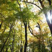 那須別邸 回（栃木県 旅館） / 3