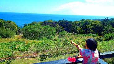 テラス / パティオ / 12