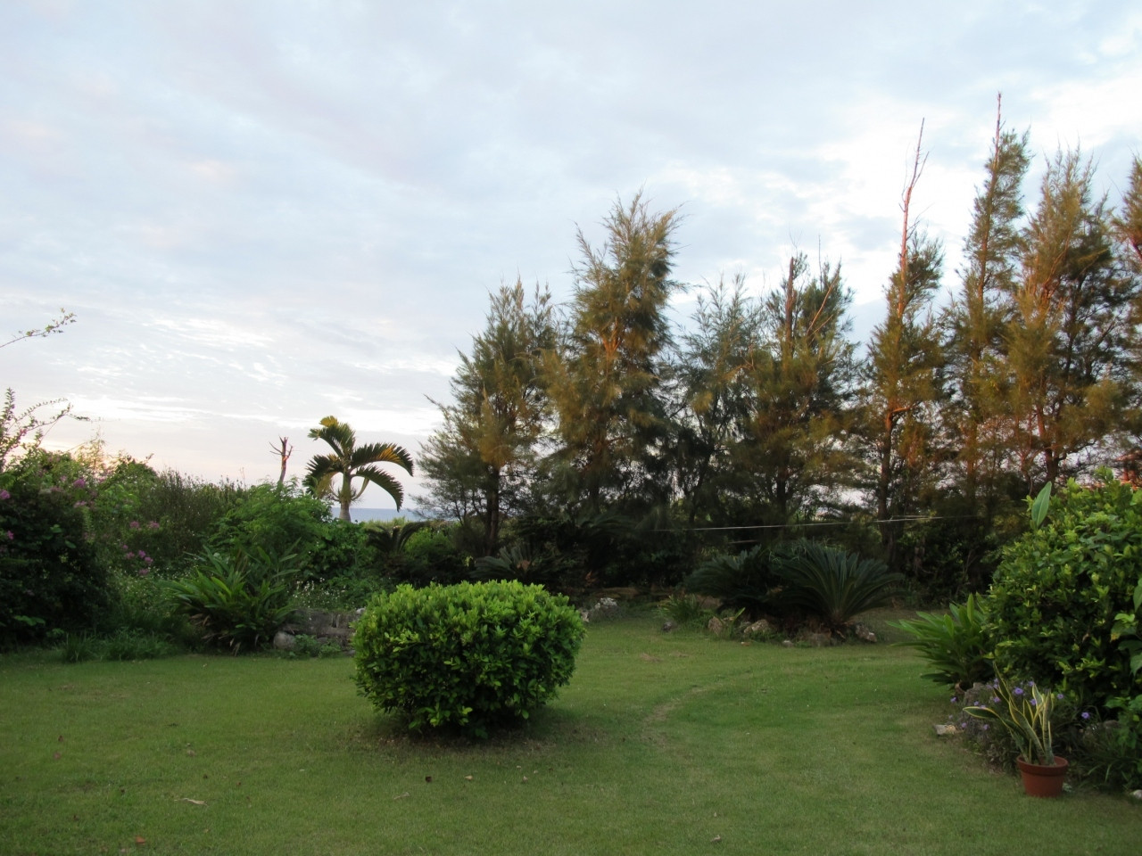 3.マリナデルレイ4249977