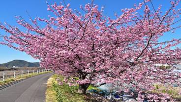 ランド ビュー / 18