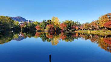 シティ ビュー / 16