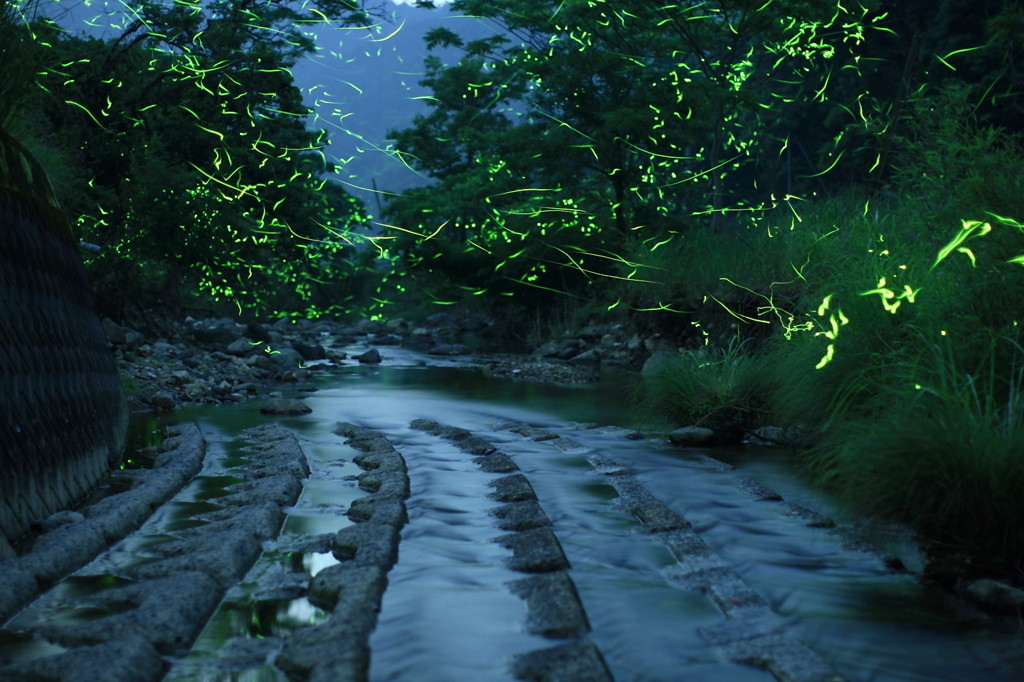 山口県下関市エリア4242713