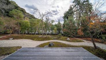 部屋からの景観 / 25