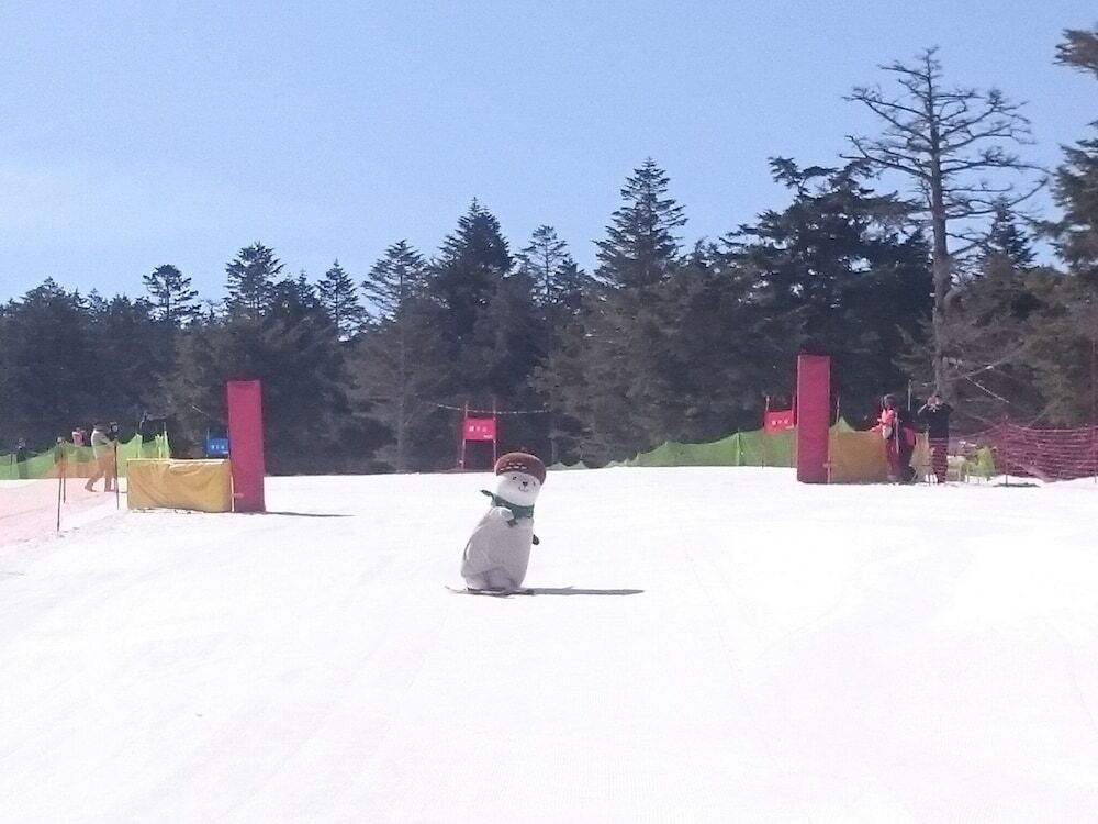 スノー スポーツとスキー