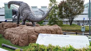 シティ ビュー / 20