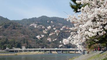 観光スポット / 10