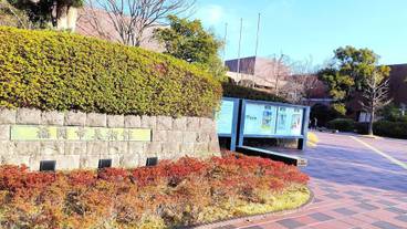 ランド ビュー / 23