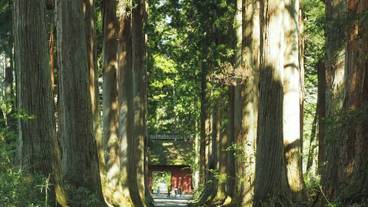 観光スポット / 15