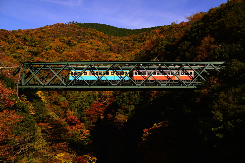 箱根登山鉄道でぶらり旅♪1116024