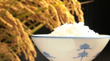 食事・飲み物 / 36