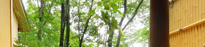 仙台カップル旅におすすめ♡露天風呂付き客室のあるホテル＆旅館7選＋番外編