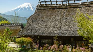 西湖いやしの里根場 / 6