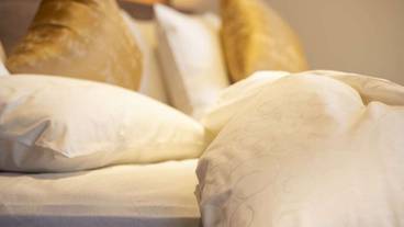 客室の設備とサービス / 32