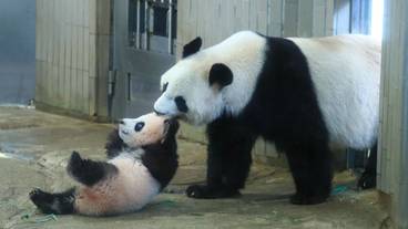 観光スポット / 5